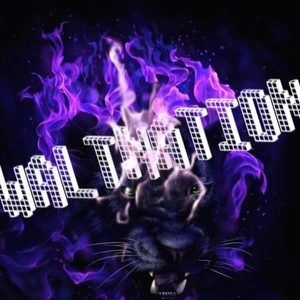 Meet your Posher, Walter